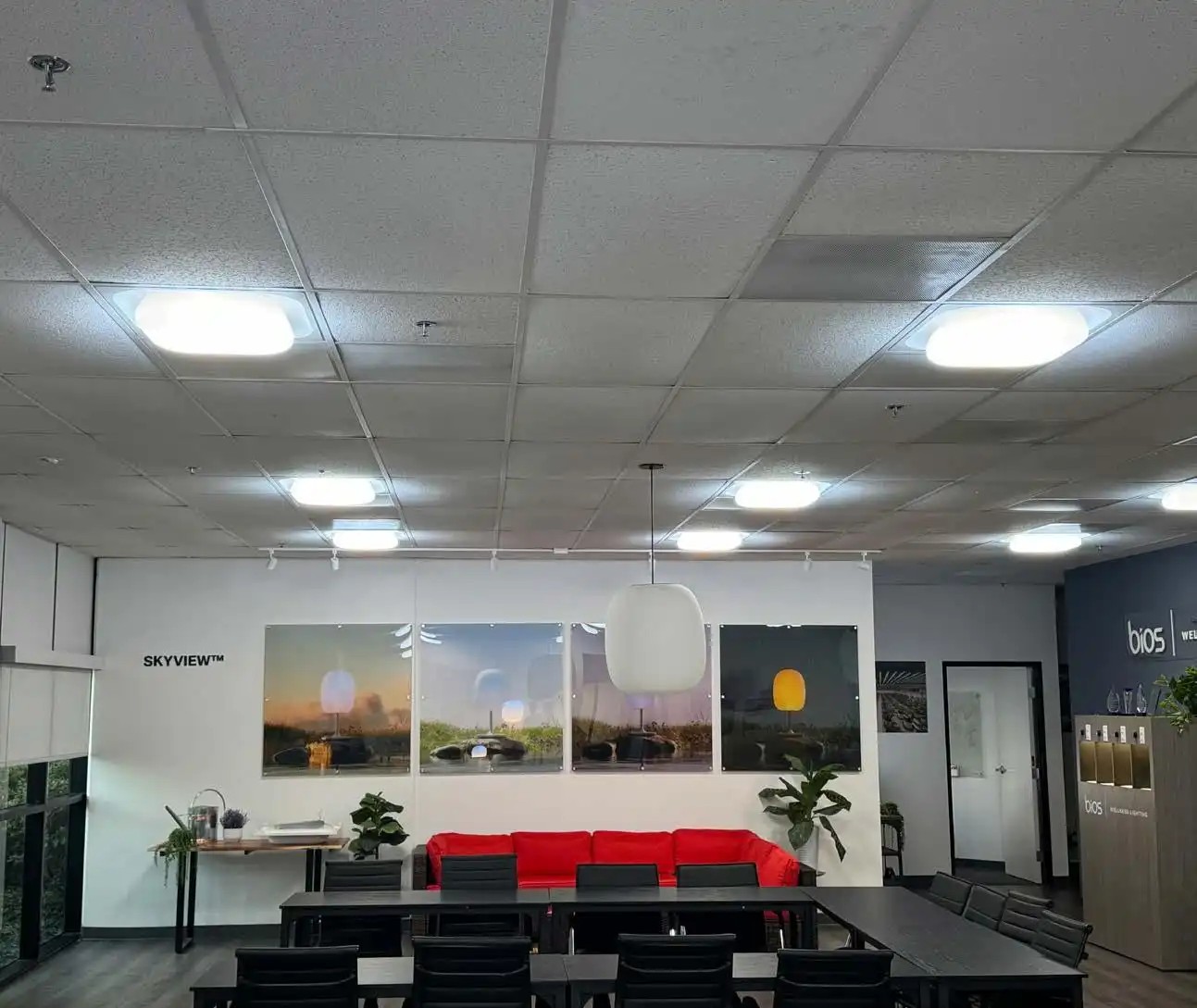 Transforming Wellness With Skyview