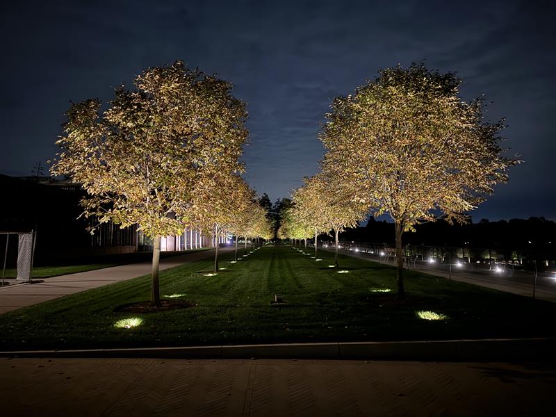 Gardens in a New Light: Longwood’s Redesign Marries Beauty and Innovation