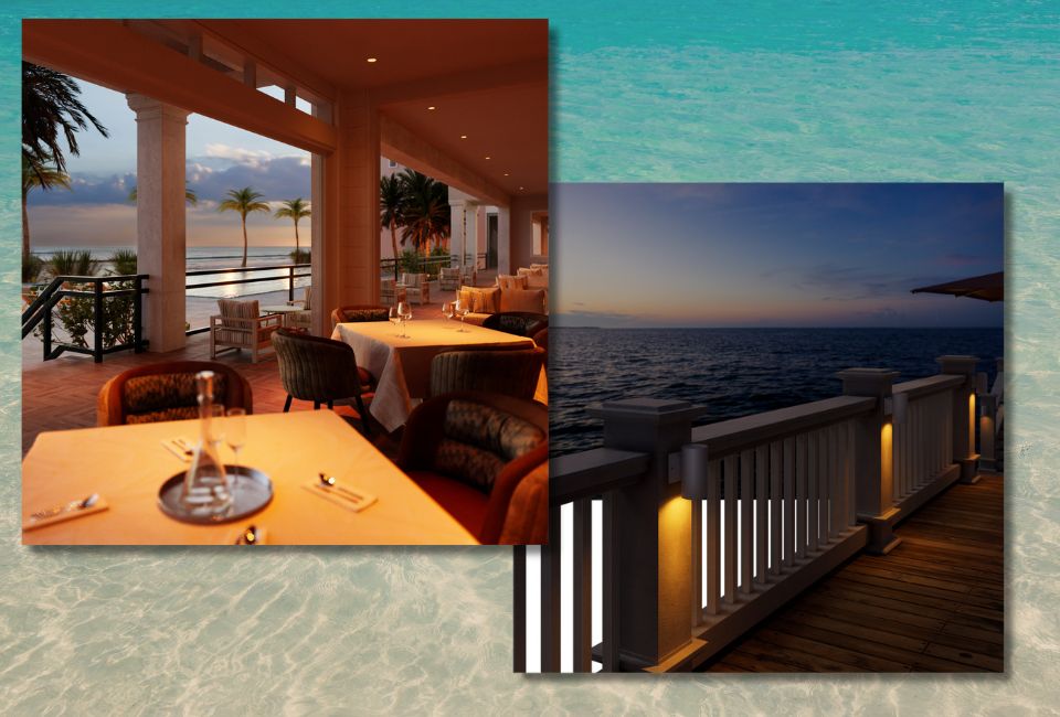 Turtle-Safe Lighting: DMF Lighting Launches Amber LED for Coastal Areas