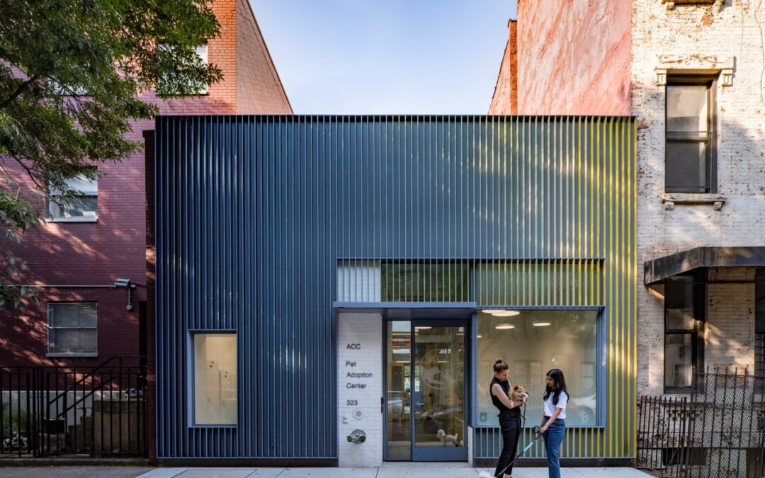 From Shelter to Sanctuary