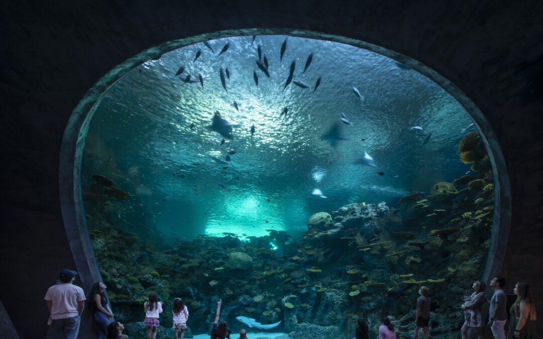 Light Beneath the Surface