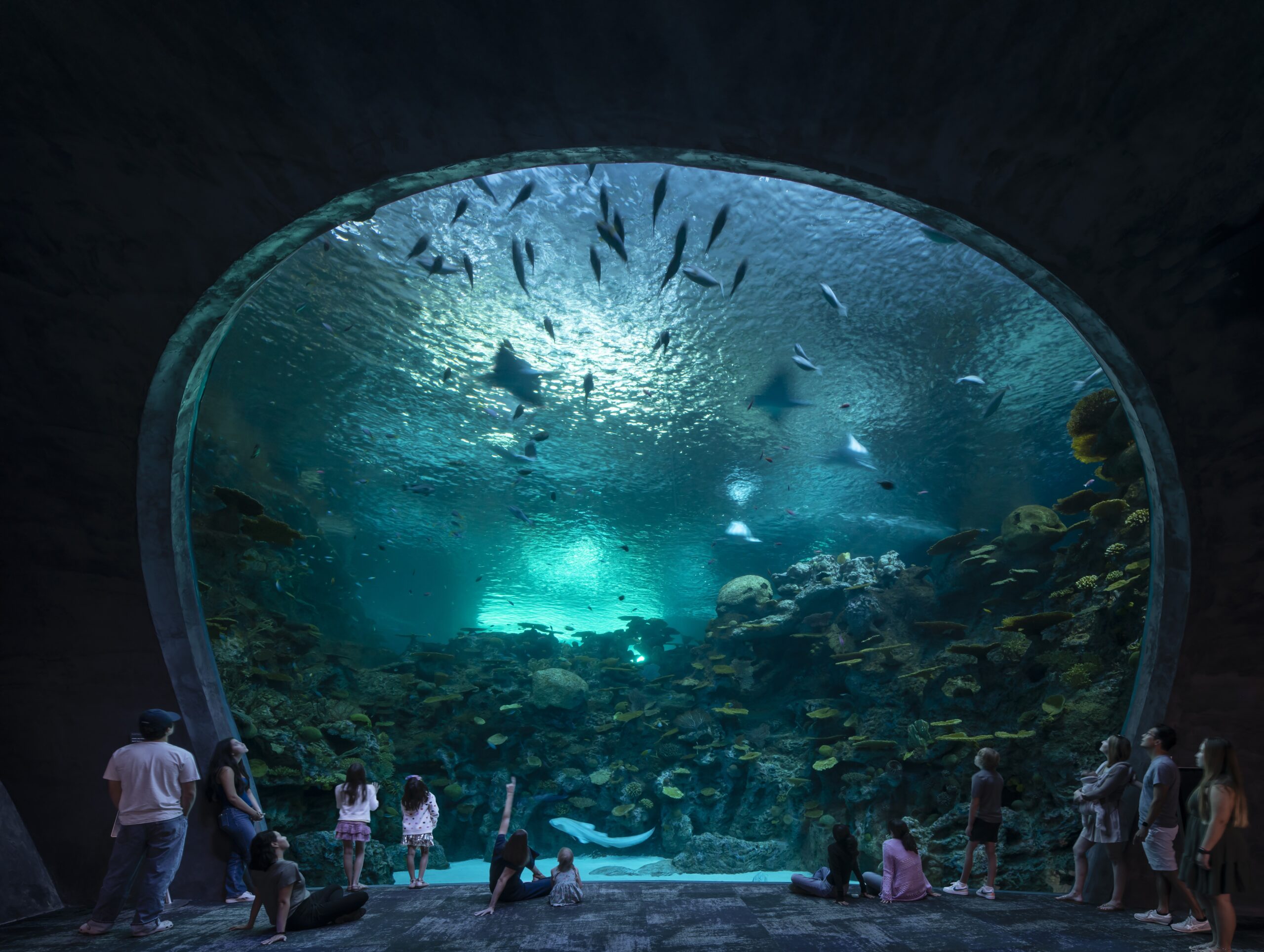 Light Beneath the Surface