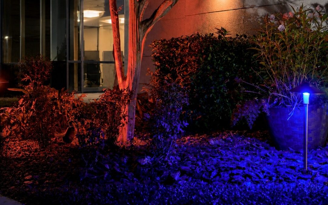 AMP Lighting Expands iQ Smart Landscape Lighting System with RGBCW LED Path Lights 