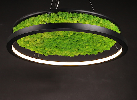 Biophilic Lighting from Inspired by Design