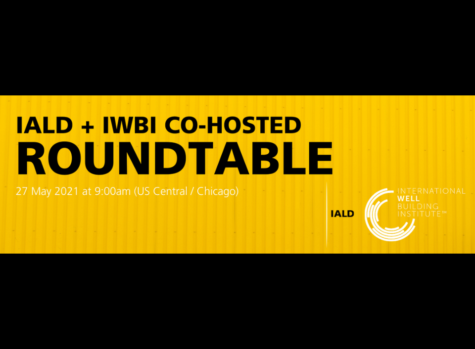Health Equity Roundtable with IALD and WELL
