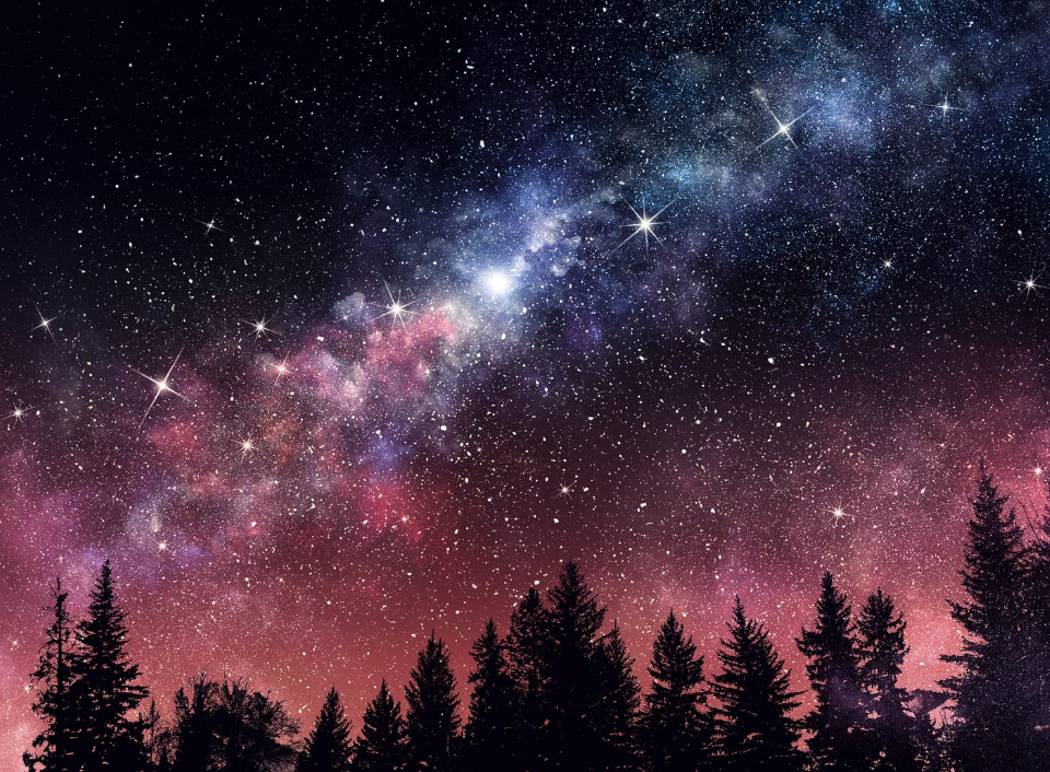 IDA Announces Awards; Jane Slade Receives Dark Sky Defender Award