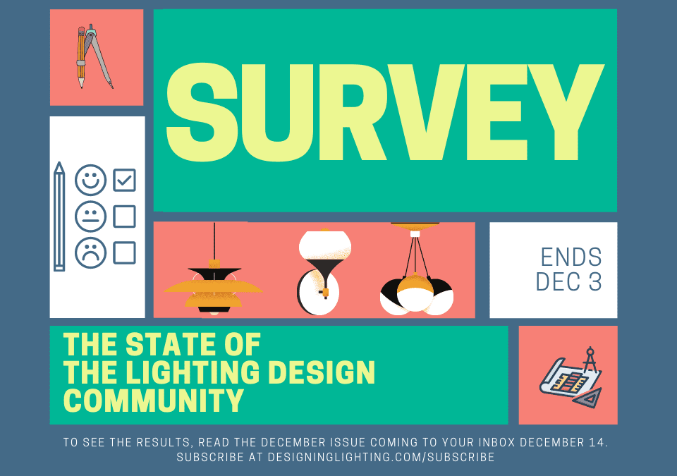 Survey on the State of the Lighting Design Community