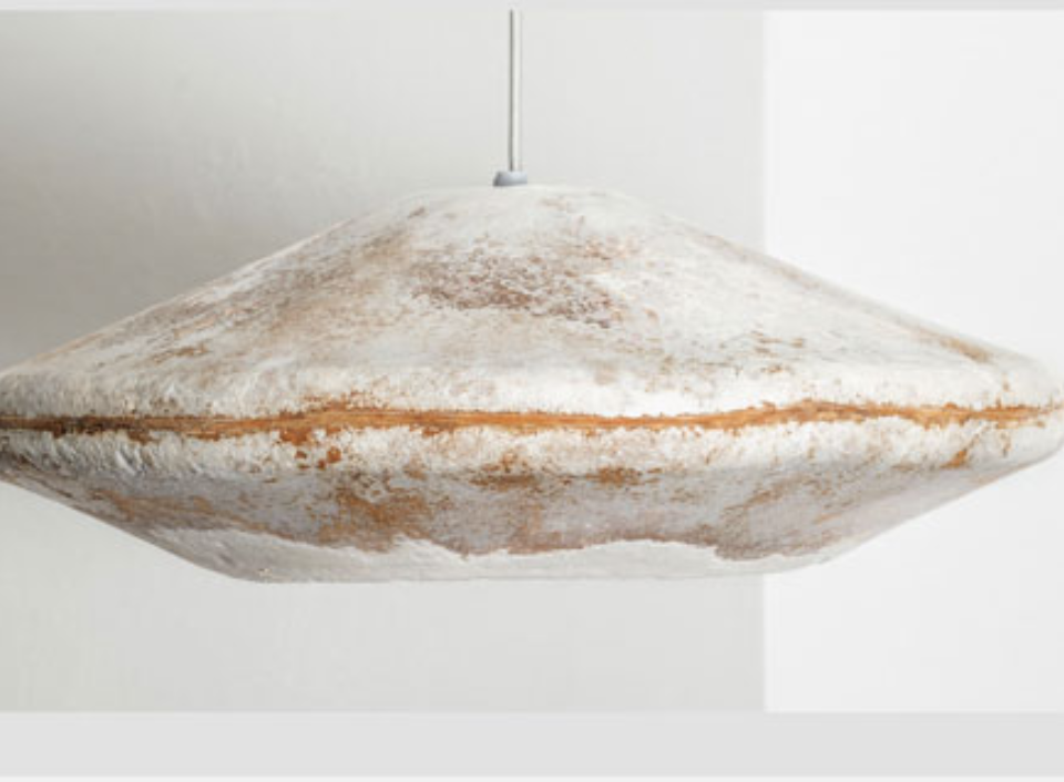 Start-Up Makes Lights From Mushrooms