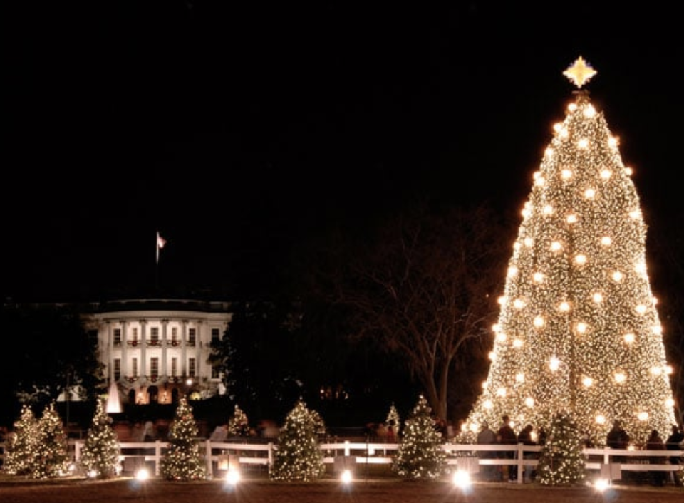 100th Annual Christmas Tree Lighting Ceremony Takes Place 30 NOV
