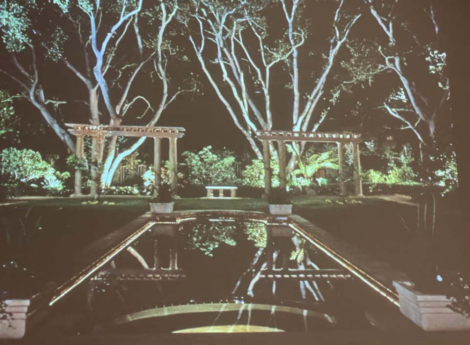 Trees reflecting into water from Janet Lennox Moyer at Lightapalooza 2023