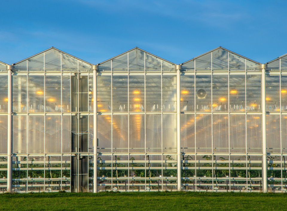 Designing for Controlled Environment Agriculture (CEA)