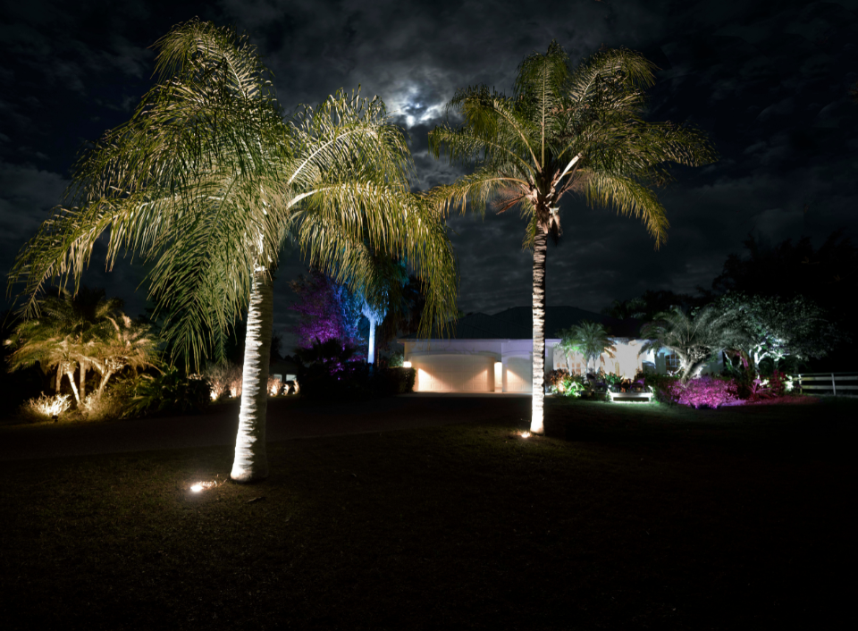 Transform Outdoor Spaces with Revolutionary Colorscaping System Launched by WAC