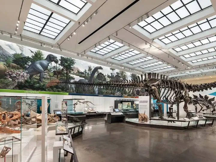 Peabody Museum Renovation: A Modern, Sustainable Lighting Overhaul