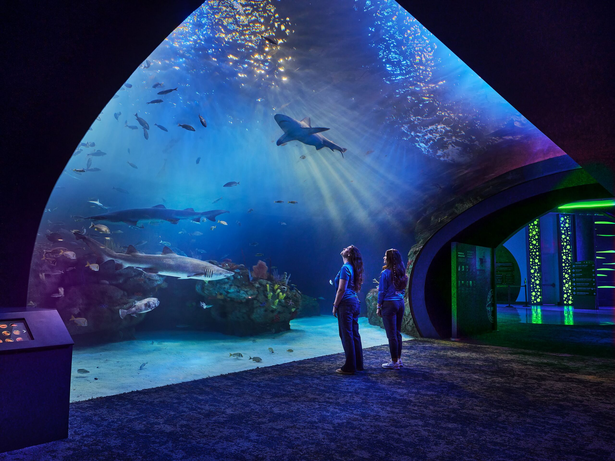 Lighting Life Beneath the Surface